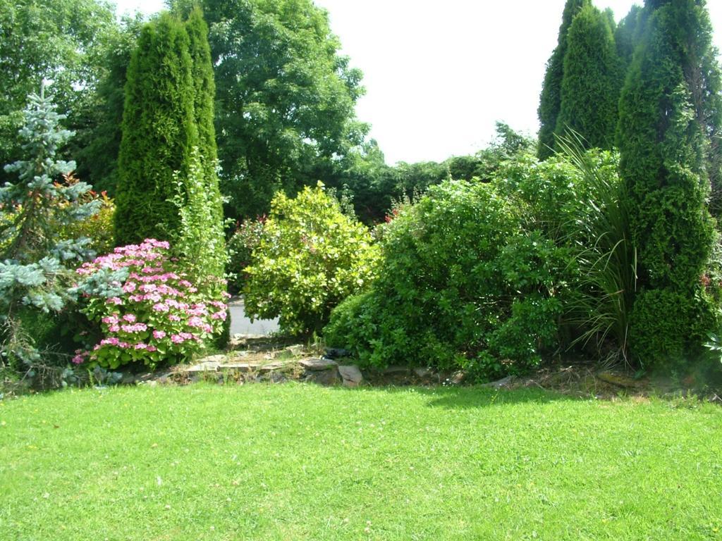 Quarry Ridge B&B Carlow Eksteriør billede