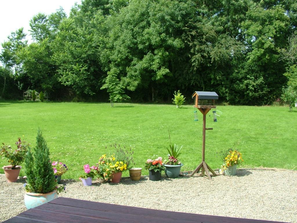 Quarry Ridge B&B Carlow Eksteriør billede