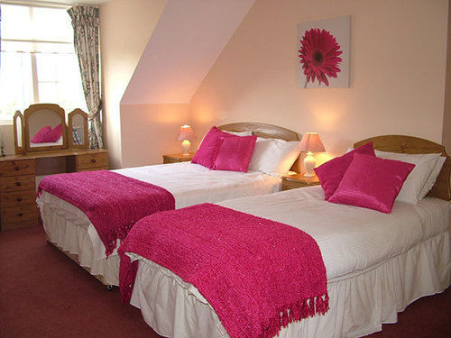 Quarry Ridge B&B Carlow Eksteriør billede